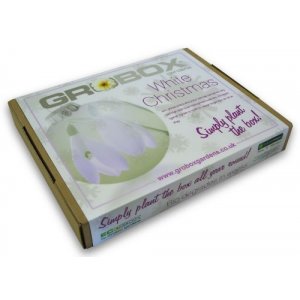 Grobox White Christmas Garden in a Box